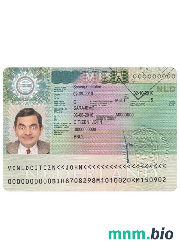Holandia wiza schengen przykład w PSD